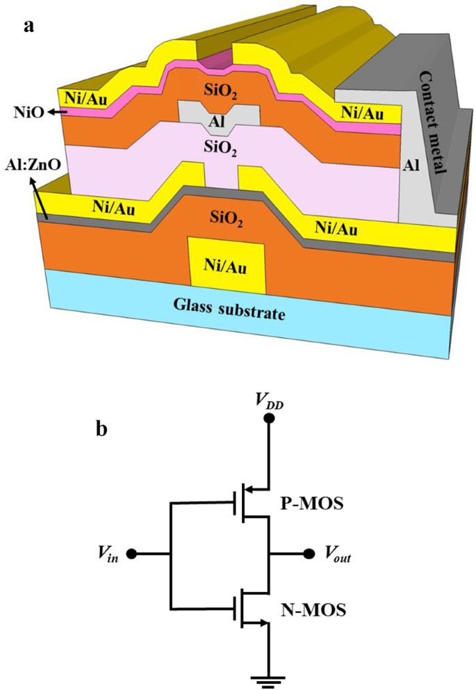 Three dimensional-stacked complementary thin-film transistors using n-type  Al:ZnO and p-type NiO thin-film transistors | Scientific Reports