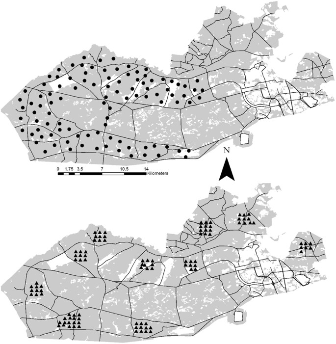 Estimating wildlife activity curves: comparison of methods and sample size  | Scientific Reports