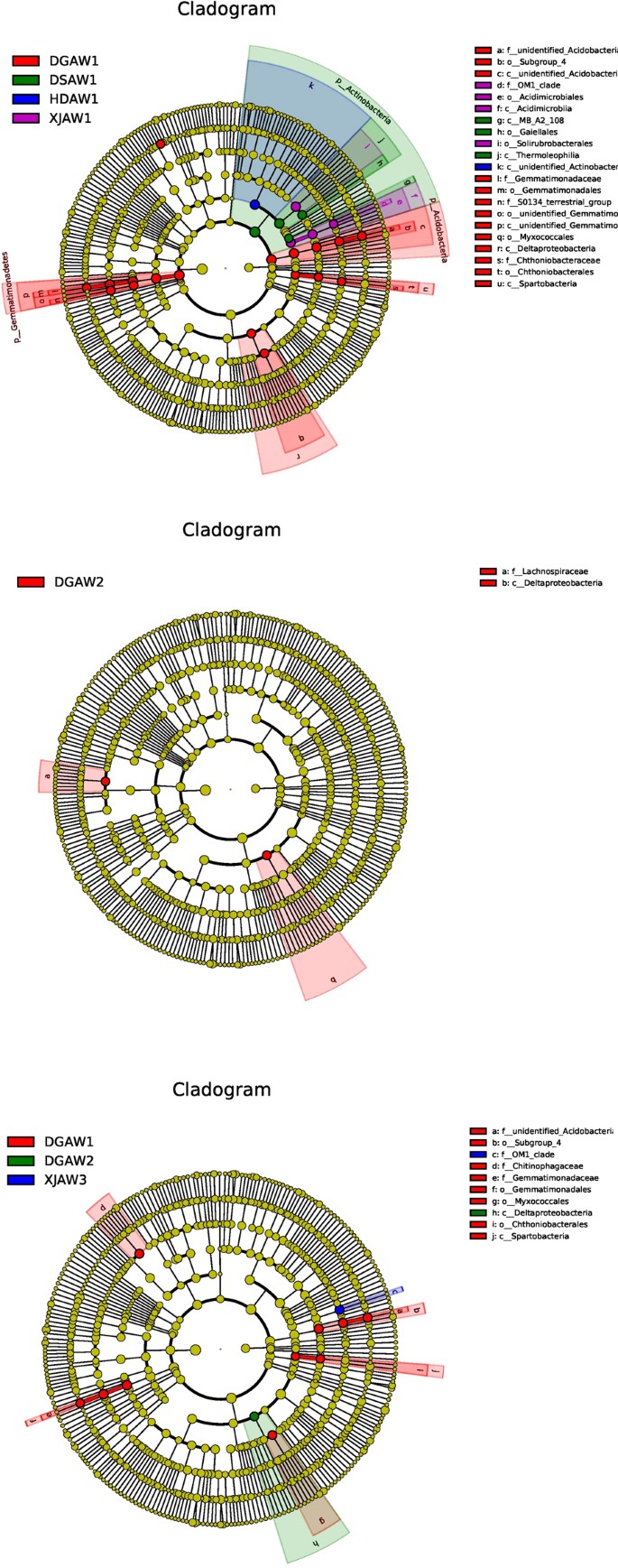 Bacterial Diversity And Community Structure In The Rhizosphere Of Four Ferula Species Scientific Reports