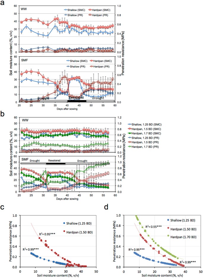 Plasticity In Nodal Root Elongation Through The Hardpan - 