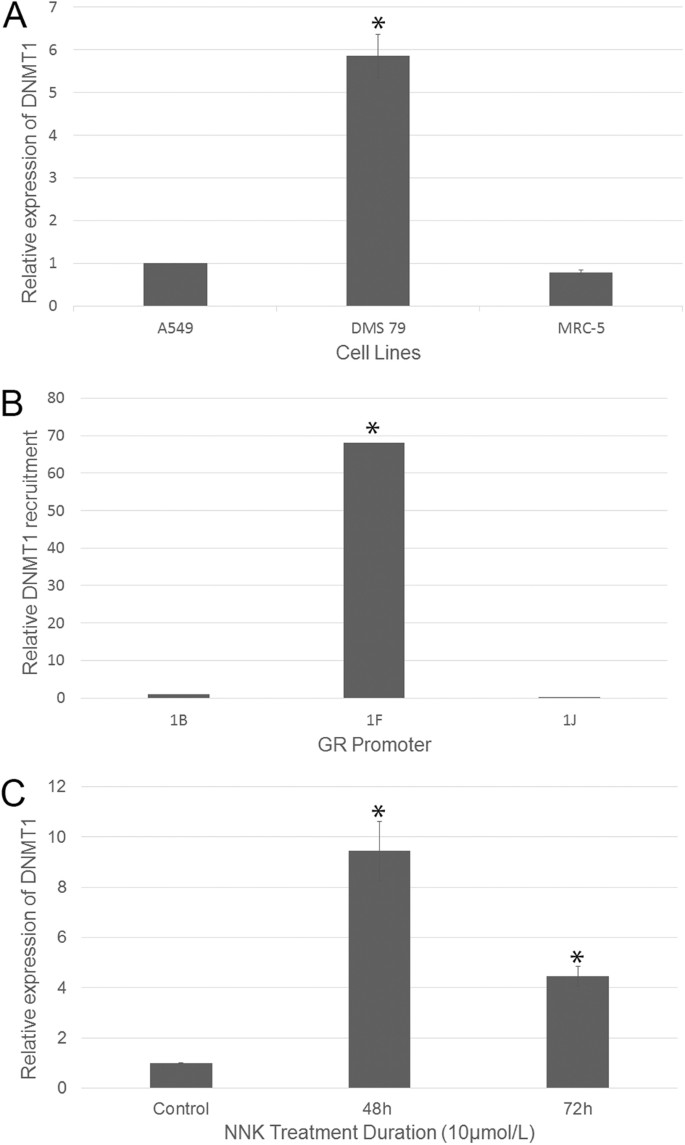 the tobacco carcinogen nnk drives