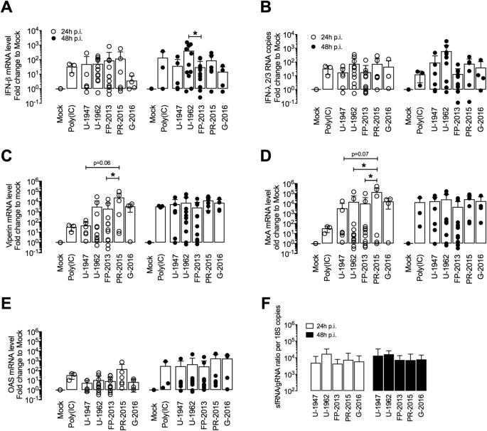 Silent Infection Of Human Dendritic Cells By African And Asian Strains Of Zika Virus Scientific Reports