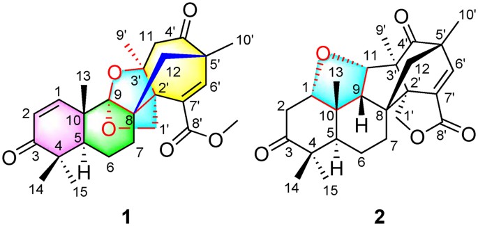 Aspermerodione A Novel Fungal Metabolite With An Unusual 2 6 Dioxabicyclo 2 2 1 Heptane Skeleton As An Inhibitor Of Penicillin Binding Protein 2a Scientific Reports