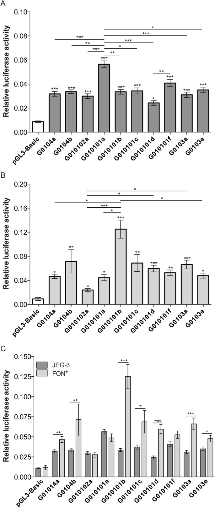 The Genetic Diversity Within The 1 4 Kb Hla G 5 Upstream Regulatory Region Moderately Impacts On Cellular Microenvironment Responses Scientific Reports