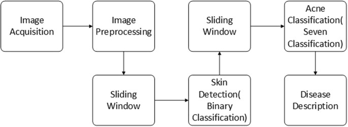 acne skin disease research paper figure 1