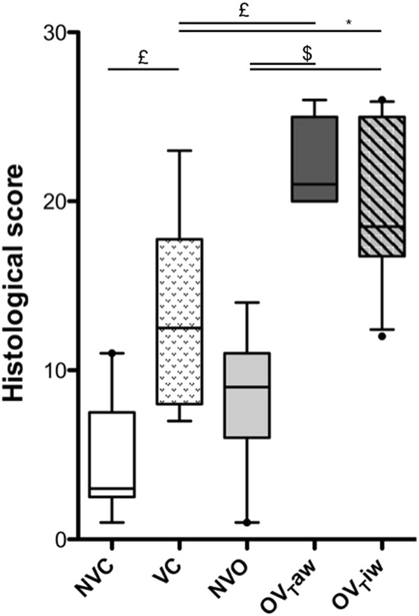 Pulmonary Effects of Adjusting Tidal Volume to Actual or Ideal