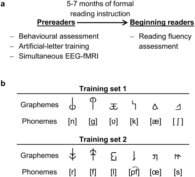 Simulating Reading Acquisition The Link Between Reading Outcome And Multimodal Brain Signatures Of Letter Speech Sound Learning In Prereaders Scientific Reports