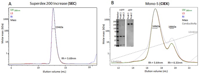 Coupling Multi Angle Light Scattering to Ion Exchange chromatography (IEX- MALS) for protein characterization | Scientific Reports