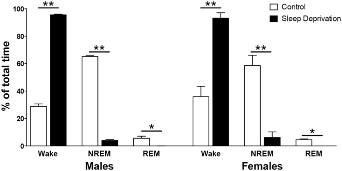 Sex Differences in Hippocampal Memory and Kynurenic Acid Formation  Following Acute Sleep Deprivation in Rats | Scientific Reports