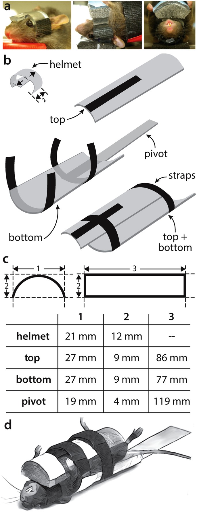 Long-term Multidomain Patterns of Change After Traumatic Brain Injury