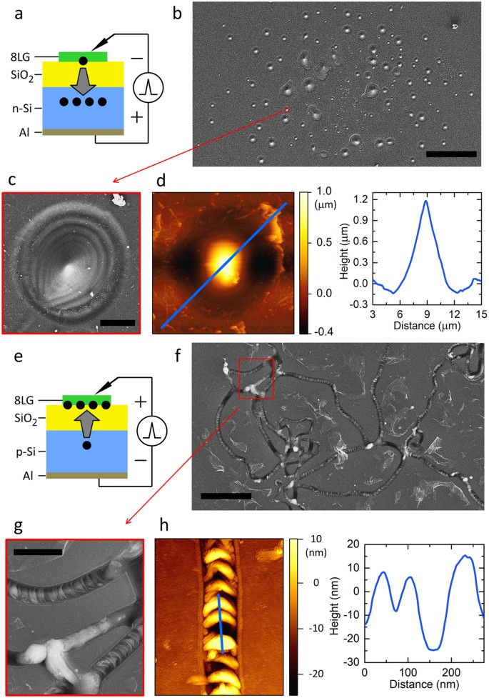 Electrically Triggered Micro Explosion In A Graphene Sio 2 Si Structure Scientific Reports