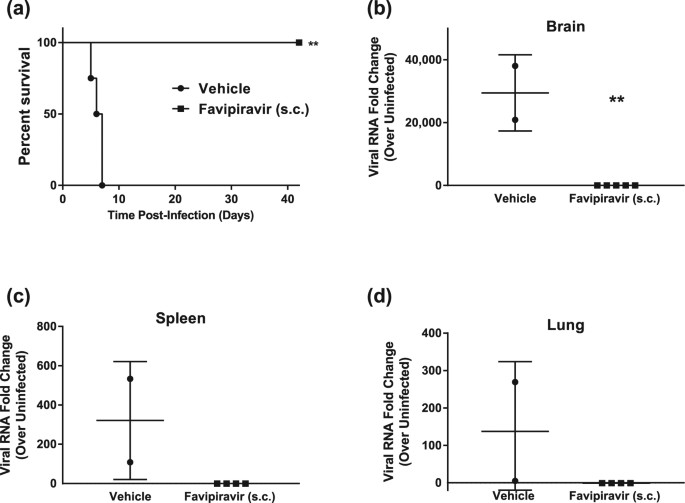 Favipiravir T 705 Protects Against Nipah Virus Infection In The Hamster Model Scientific Reports Favipiravir T 705 Protects Against Nipah Virus Infection In The Hamster Model Scientific Reports
