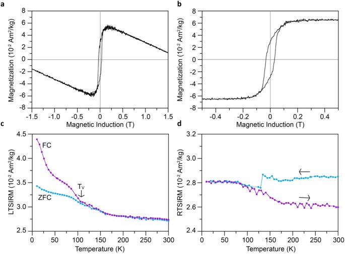 Magnetic Field Induced Rotation Of Magnetosome Chains In Silicified Magnetotactic Bacteria Scientific Reports