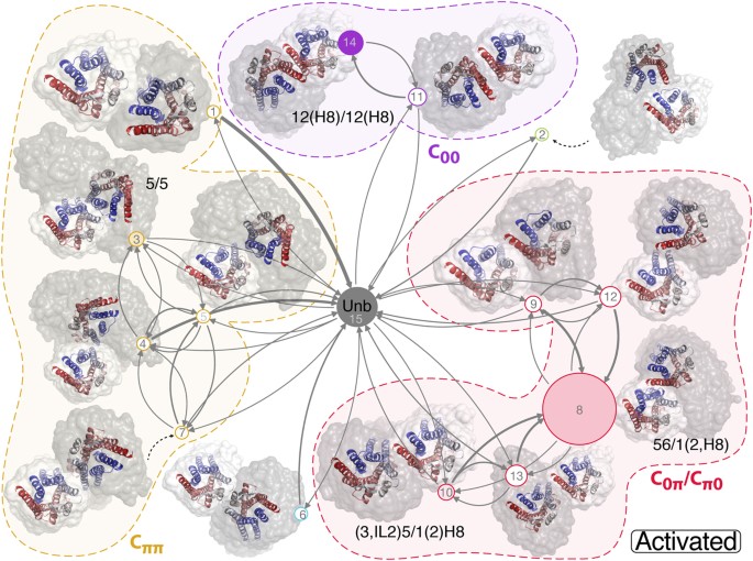 Molecular Details Of Dimerization Kinetics Reveal Negligible Populations Of Transient µ Opioid Receptor Homodimers At Physiological Concentrations Scientific Reports