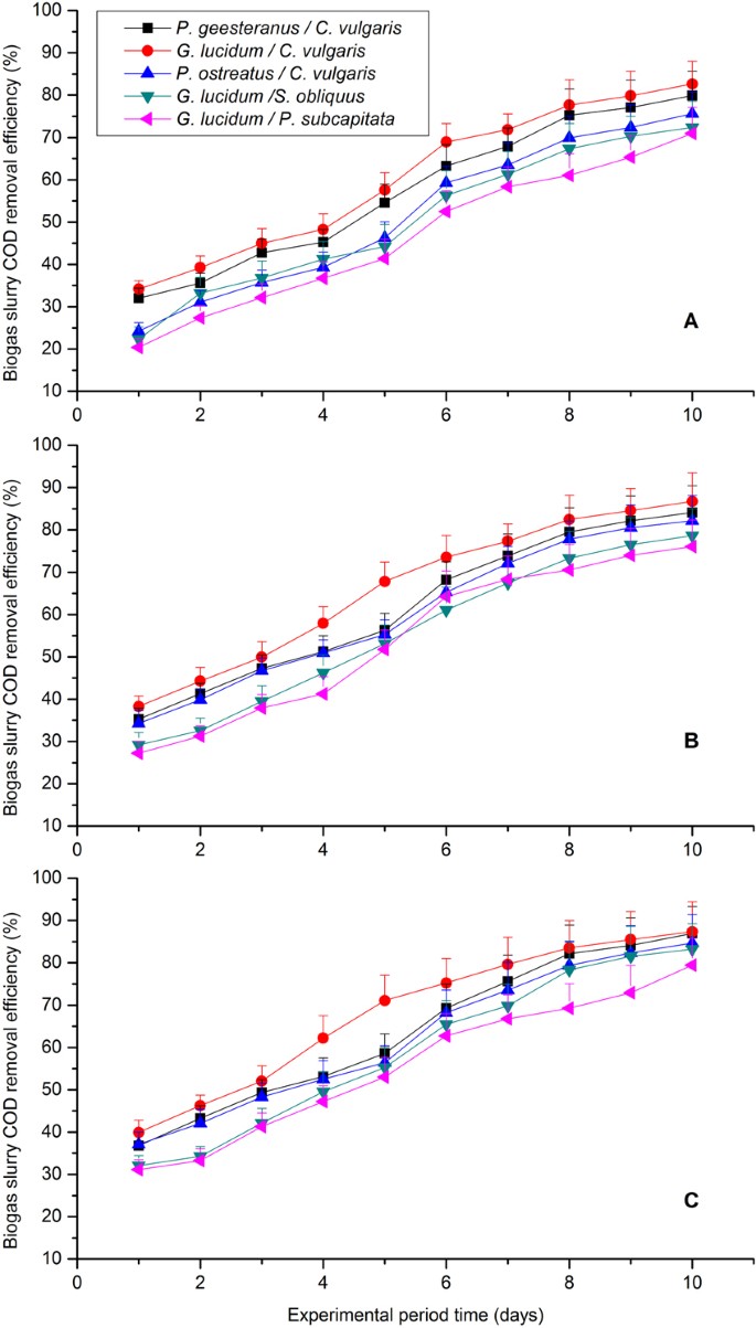 Co Cultivation Of Fungal Microalgal Strains In Biogas Slurry And Biogas Purification Under Different Initial Co2 Concentrations Scientific Reports