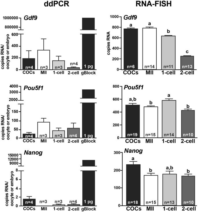 Turbo FISH: A Method for Rapid Single Molecule RNA FISH