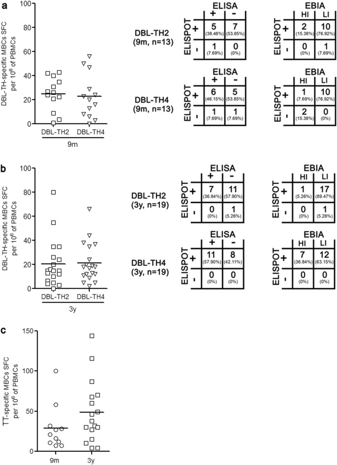 Persistence Of Long Lived Memory B Cells Specific To Duffy Binding