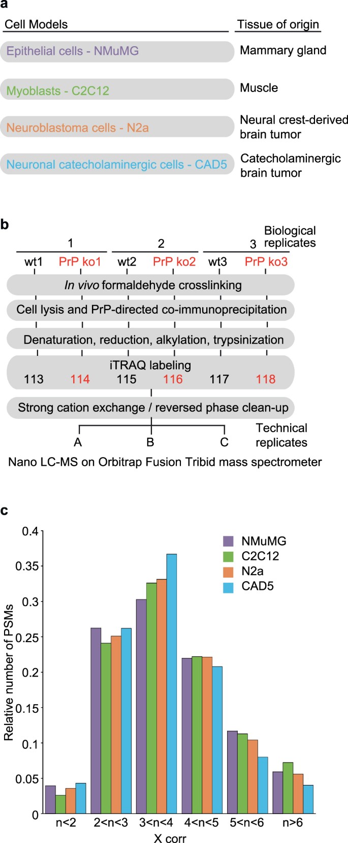 The Prion Protein Is Embedded In A Molecular Environment That Modulates Transforming Growth Factor B And Integrin Signaling Scientific Reports The Prion Protein Is Embedded In A Molecular Environment That Modulates Transforming Growth Factor B And Integrin Signaling Scientific Reports