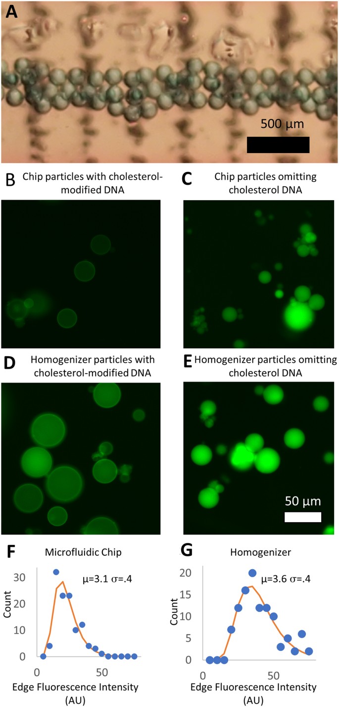Simple Low Cost Fabrication Of Acrylic Based Droplet Microfluidics And Its Use To Generate Dna Coated Particles Scientific Reports Simple Low Cost Fabrication Of Acrylic Based Droplet Microfluidics And Its Use To Generate Dna Coated Particles Scientific Reports