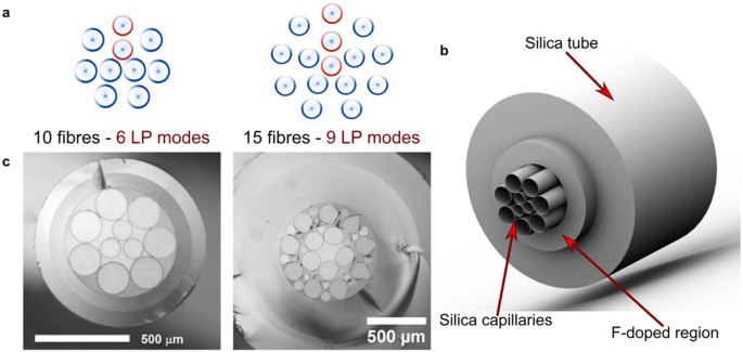 Scaling Photonic Lanterns For Space Division Multiplexing Scientific Reports