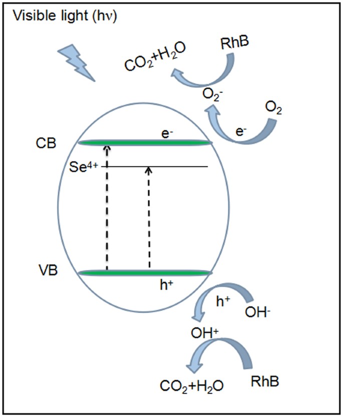 figure 8