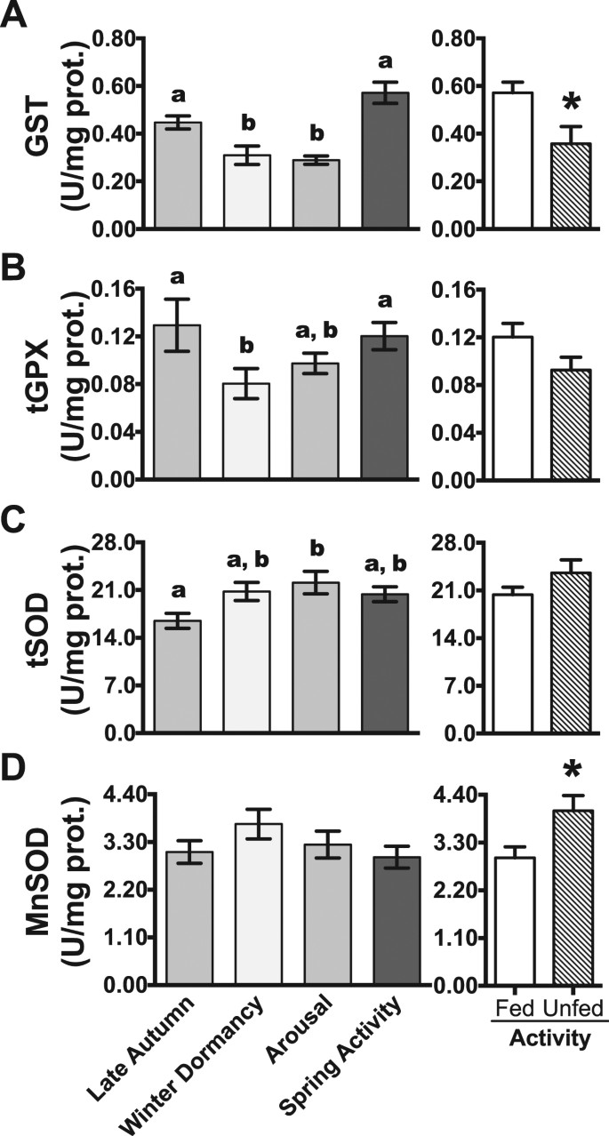 Subtropical Hibernation In Juvenile Tegu Lizards Salvator Merianae Insights From Intestine Redox Dynamics Scientific Reports