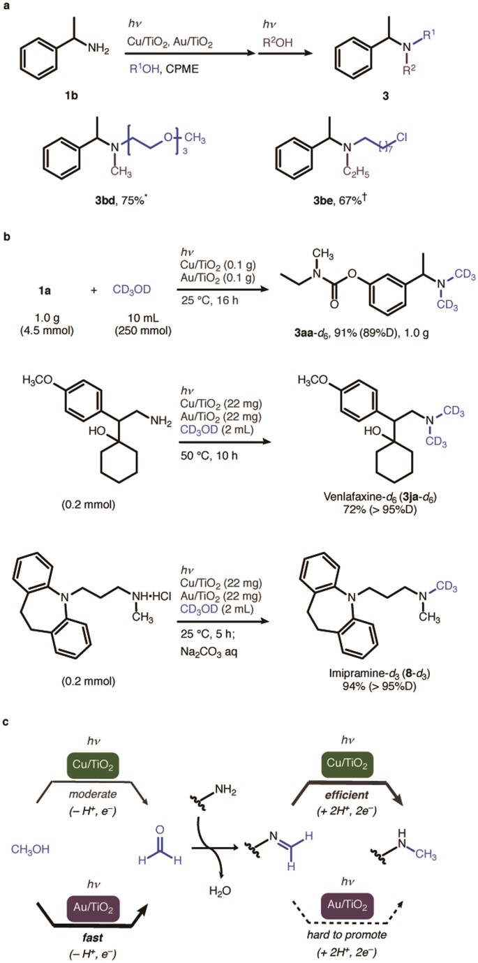 Author Correction N Alkylation Of Functionalized Amines With Alcohols Using A Copper Gold Mixed Photocatalytic System Scientific Reports