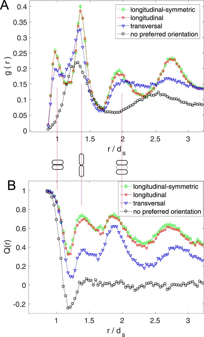 Active Particles With Desired Orientation Flowing Through A Bottleneck Scientific Reports