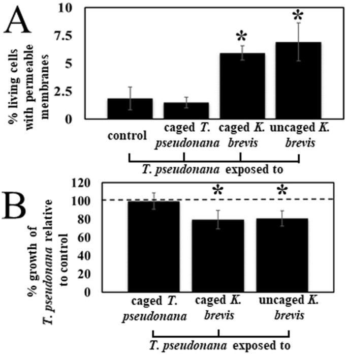 Karenia Brevis Allelopathy Compromises The Lipidome Membrane Integrity And Photosynthesis Of Competitors Scientific Reports Karenia Brevis Allelopathy Compromises The Lipidome Membrane Integrity And Photosynthesis Of Competitors Scientific Reports