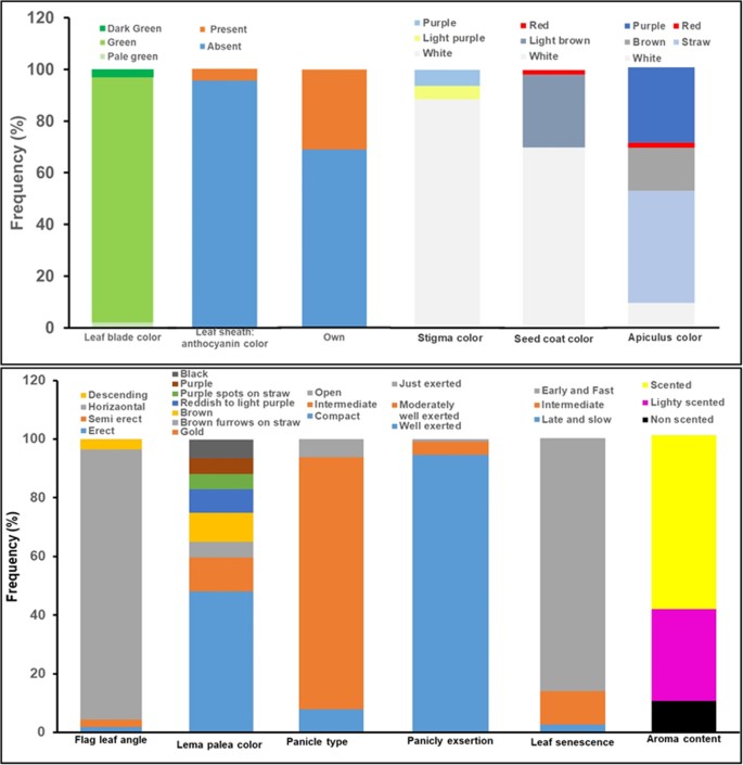 Ntsys Pc Version 2.1 Free Download Ntsys Pc Version 2.1 Free Download