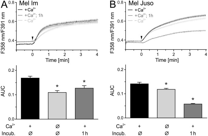 Cold Atmospheric Plasma Causes A Calcium Influx In Melanoma Cells Triggering Cap Induced Senescence Scientific Reports