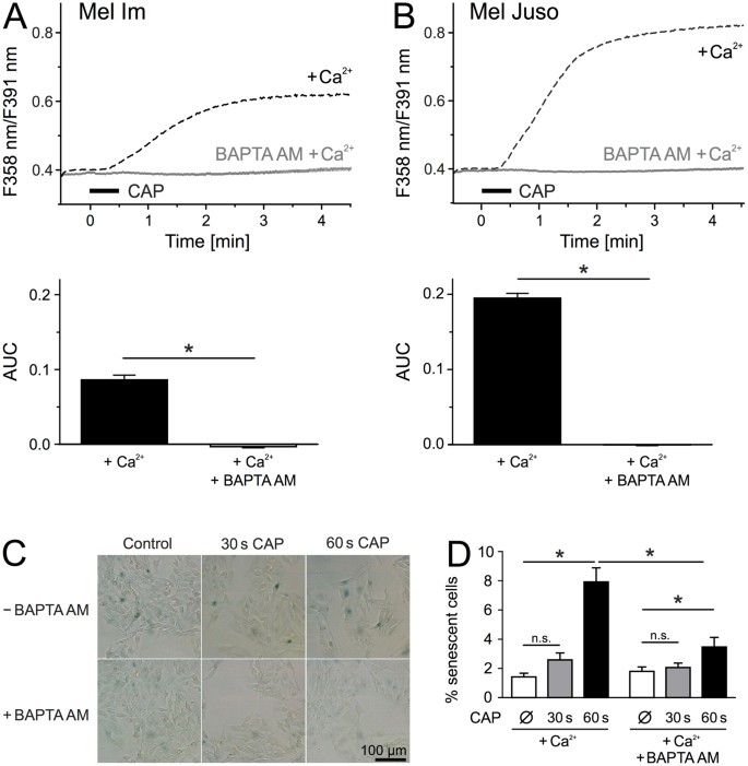 Cold Atmospheric Plasma Causes A Calcium Influx In Melanoma Cells Triggering Cap Induced Senescence Scientific Reports