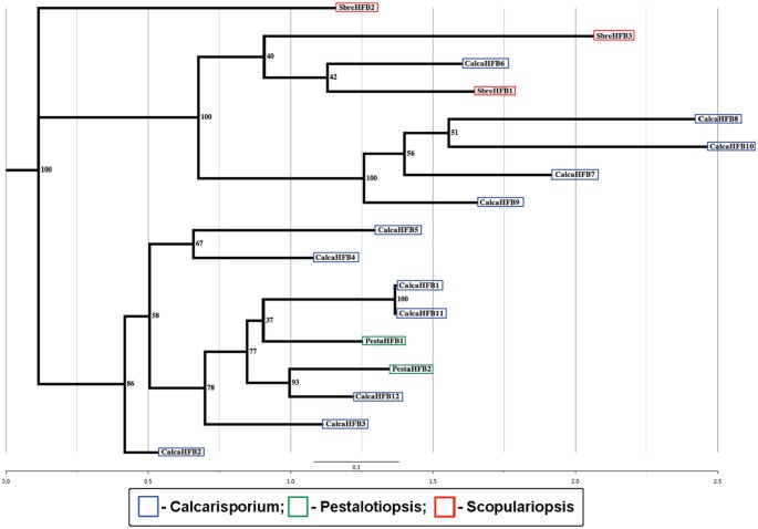 figure 12