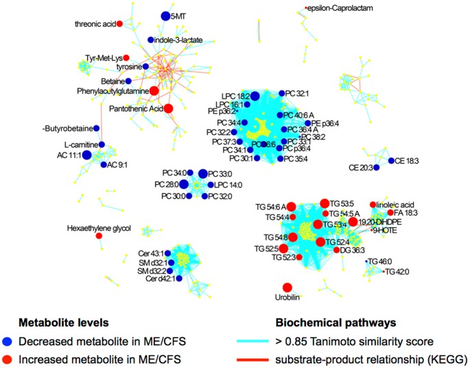 l carnitine me cfs Insights into myalgic encephalomyelitis/chronic fatigue syndrome phenotypes  through comprehensive metabolomics