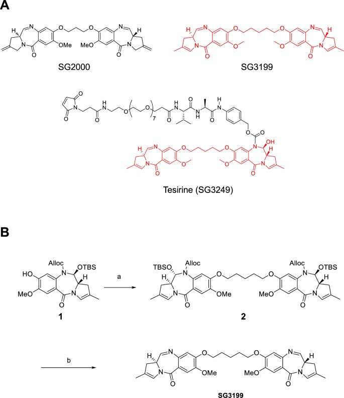 Pre-clinical pharmacology and mechanism of action of SG3199, the  pyrrolobenzodiazepine (PBD) dimer warhead component of antibody-drug  conjugate (ADC) payload tesirine | Scientific Reports