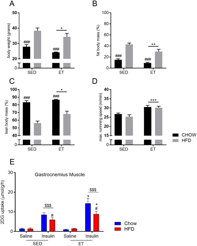 Quantitative Proteomic Characterization Of Cellular Pathways Associated With Altered Insulin Sensitivity In Skeletal Muscle Following High Fat Diet Feeding And Exercise Training Scientific Reports