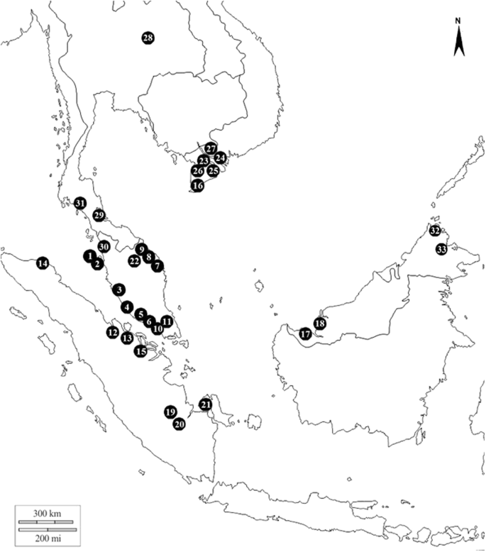 Exploring Hidden Diversity In Southeast Asia S Dermogenys Spp Beloniformes Zenarchopteridae Through Dna Barcoding Scientific Reports