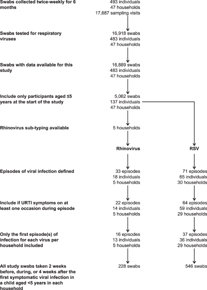 viral respiratory infection