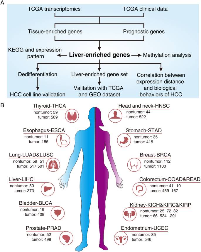 hepatic cancer genes