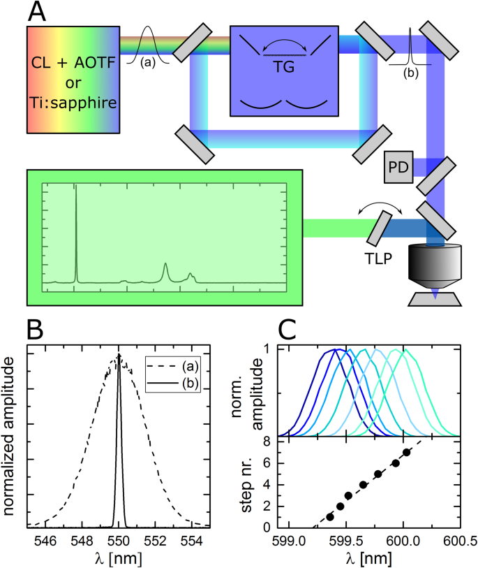 The Importance of Interbands on the Interpretation of the Raman