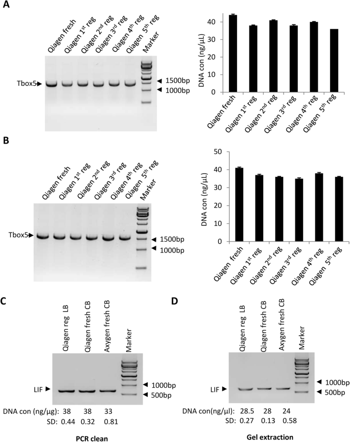 silica columns from pcr purification