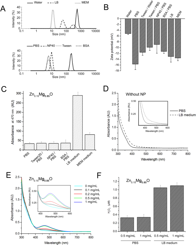 Exploring Multiple Effects Of Zn 0 15 Mg 0 85 O Nanoparticles On Bacillus Subtilis And Macrophages Scientific Reports