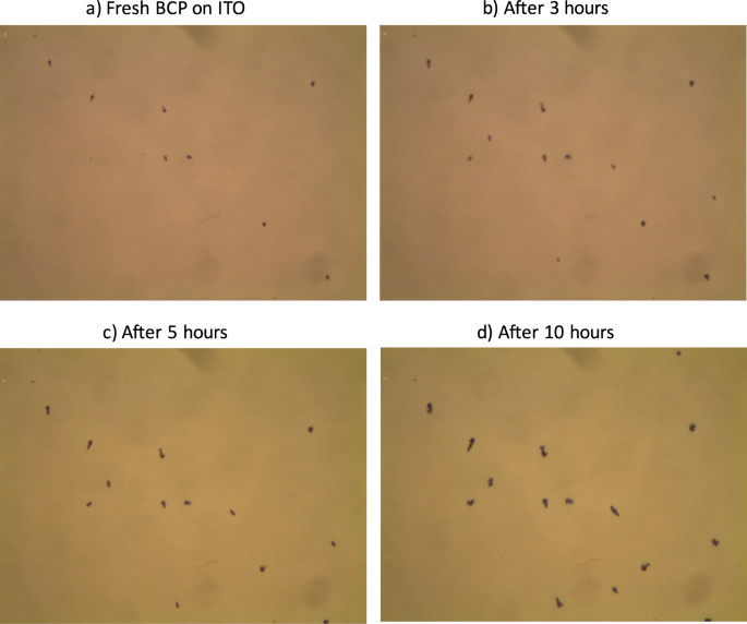 Area Dependent Behavior Of Bathocuproine Bcp As Cathode Interfacial Layers In Organic Photovoltaic Cells Scientific Reports