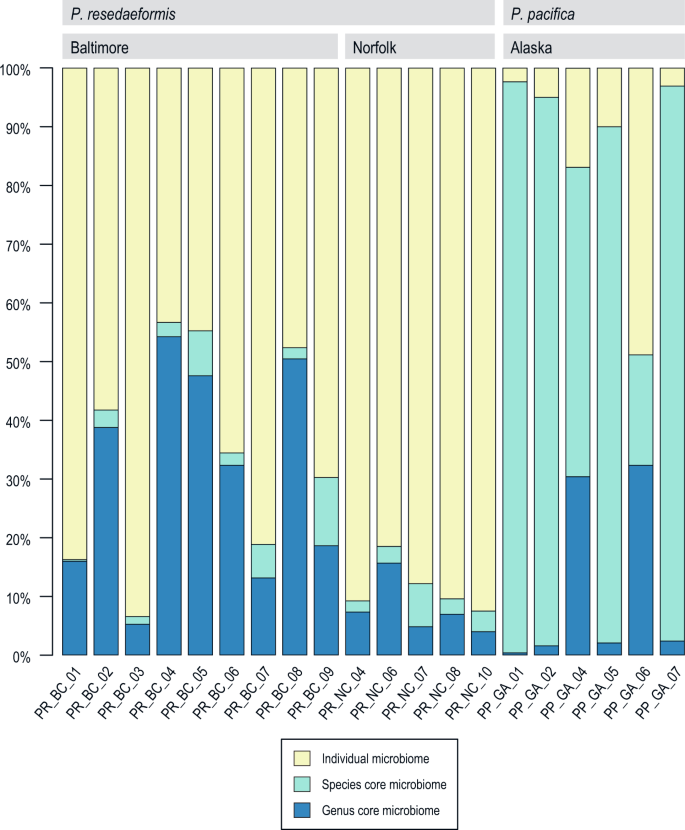 Frontiers  Rhodobacteraceae dominate the core microbiome of the