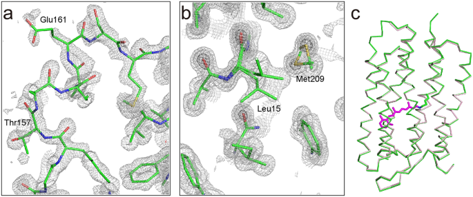 X Ray Structure Analysis Of Bacteriorhodopsin At 1 3 A Resolution Scientific Reports