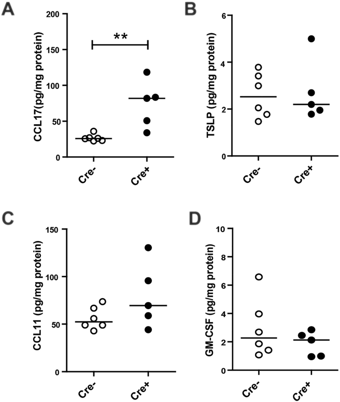 conditional gene expression in the respiratory epithelium of the mouse figure 5