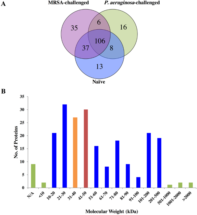 Hemolymph Protein Profiles Of Subterranean Termite Reticulitermes Flavipes Challenged With Methicillin Resistant Staphylococcus Aureus Or Pseudomonas Aeruginosa Scientific Reports