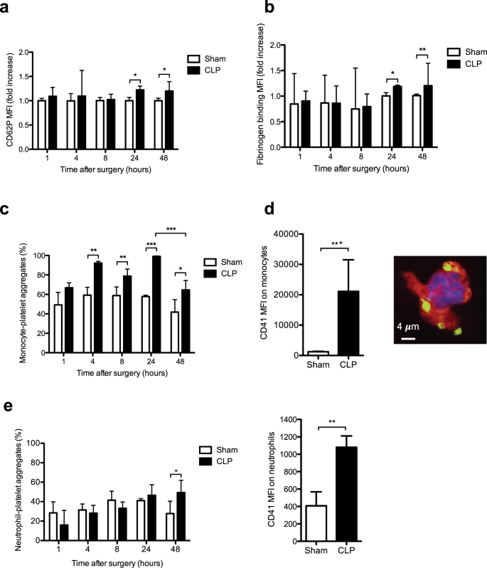 Platelet activation and prothrombotic properties in a mouse model of  peritoneal sepsis | Scientific Reports