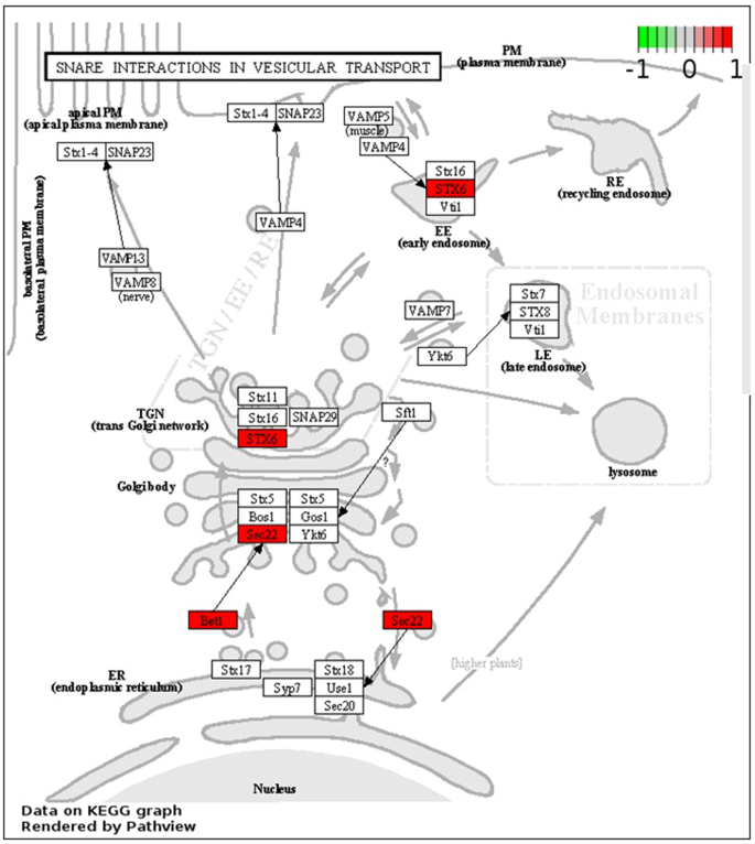 figure 14