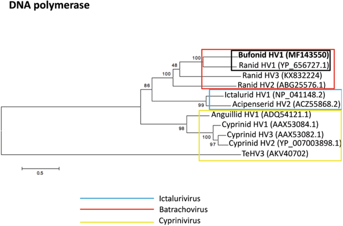 figure 15